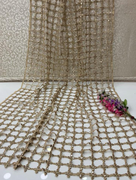 Cutt Work Pani Mirror Work Dupatta