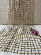 Cutt Work Pani Mirror Work Dupatta