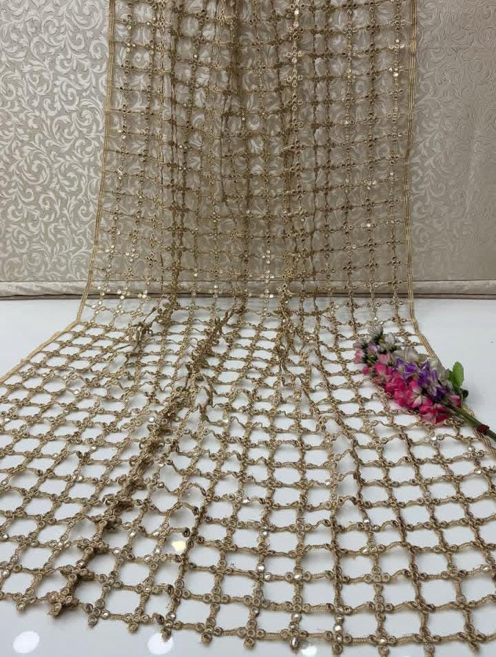 Cutt Work Pani Mirror Work Dupatta