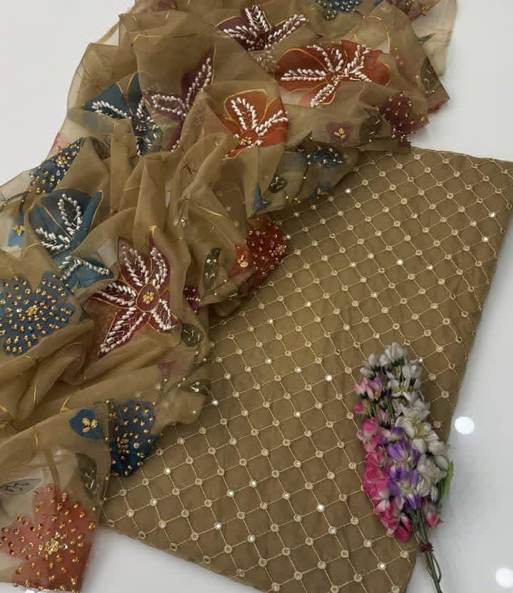Organza Pani Mirror Work | Unstitched Shirt Dupatta 2 Piece