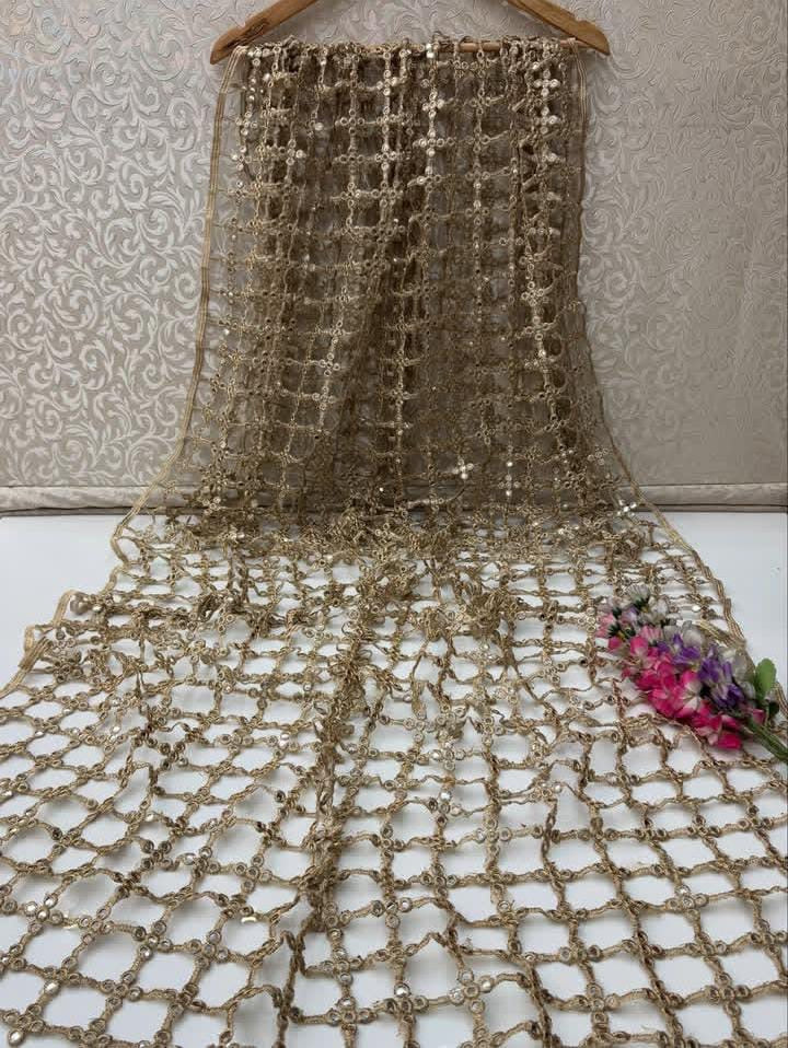 Cutt Work Pani Mirror Work Dupatta